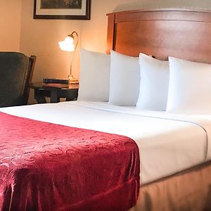 Queen Suite Two Queen Beds